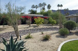 Garden designed for drought