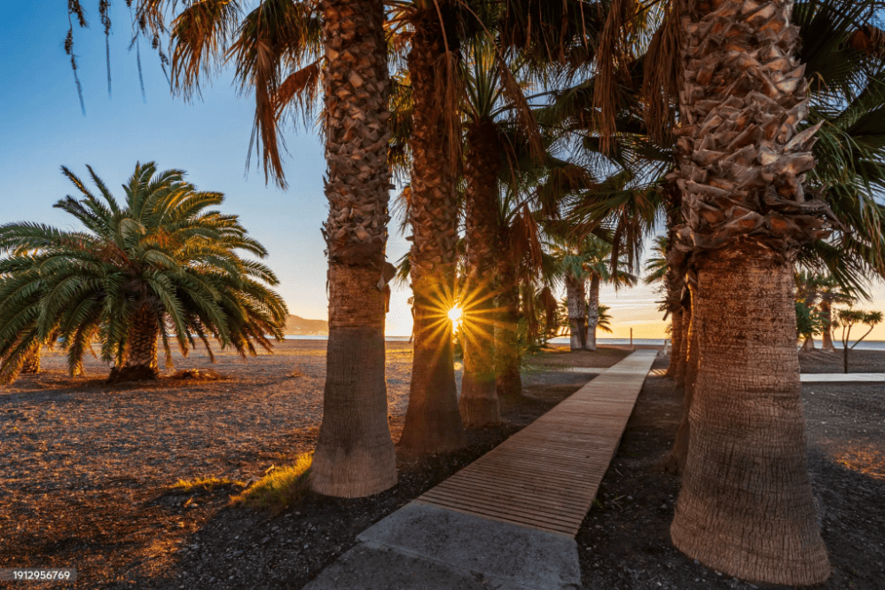 Motril area guide